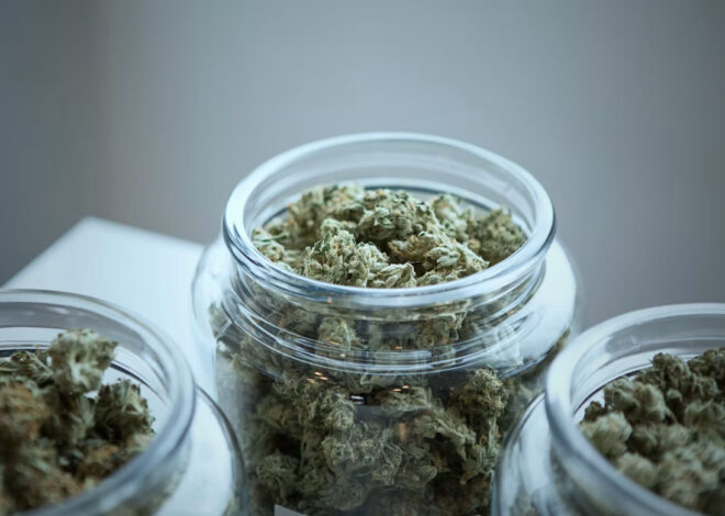 The Best weed delivery service in Bradford