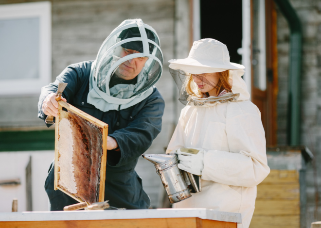 Things to Check Before Choosing a Beekeeping Supplier