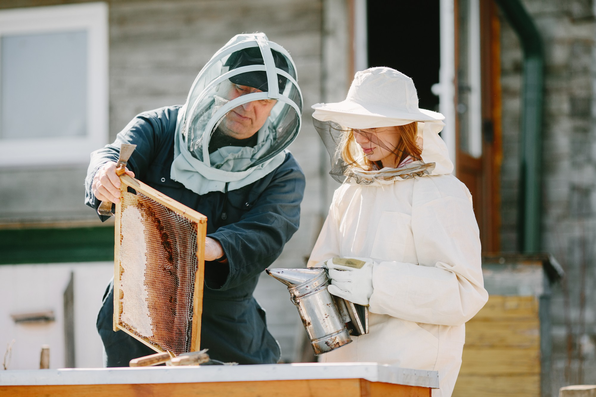 Things to Check Before Choosing a Beekeeping Supplier