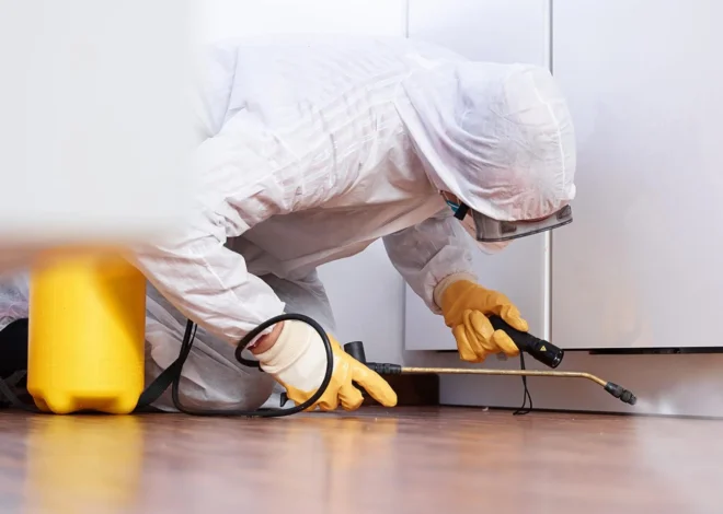 5 Best Pest Control Services in Oxford – Find help for unwanted household visitors