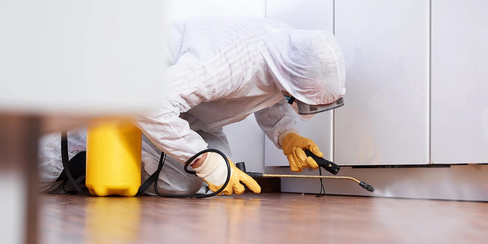 5 Best Pest Control Services in Oxford – Find help for unwanted household visitors