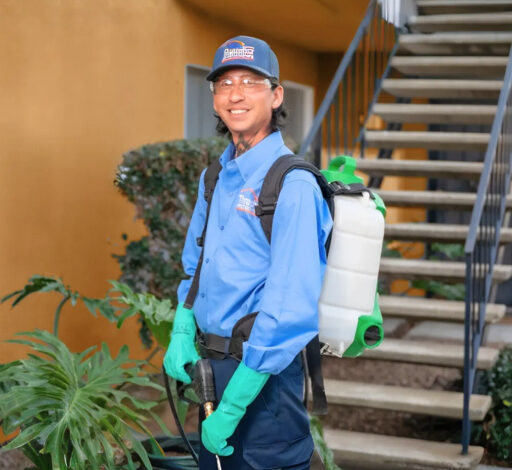 5 Best Pest Controllers in Oxford – Discreet removal of unwanted guests