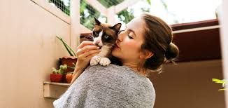 8 Questions About Pet Insurance Exclusions in the UK