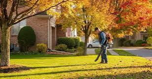 5 Best Leaf Removal Services in Frederick – Explore tidy yards all autumn long