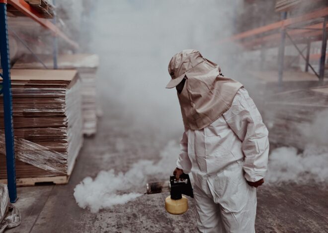 5 Best Rodent Control Services in Oxford – Explore help for household rodent concerns
